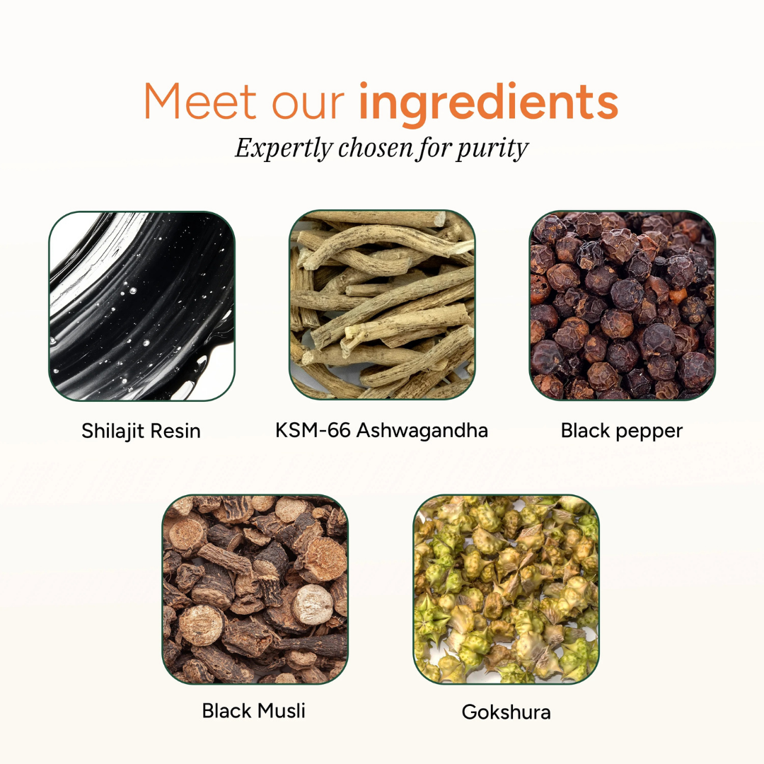 PRAVOLABS® - CLEAN ENERGY + FOCUS GUMMIES