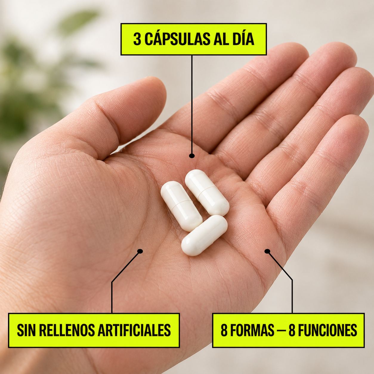PRAVOLABS® – MAGNESIUM COMPLEX