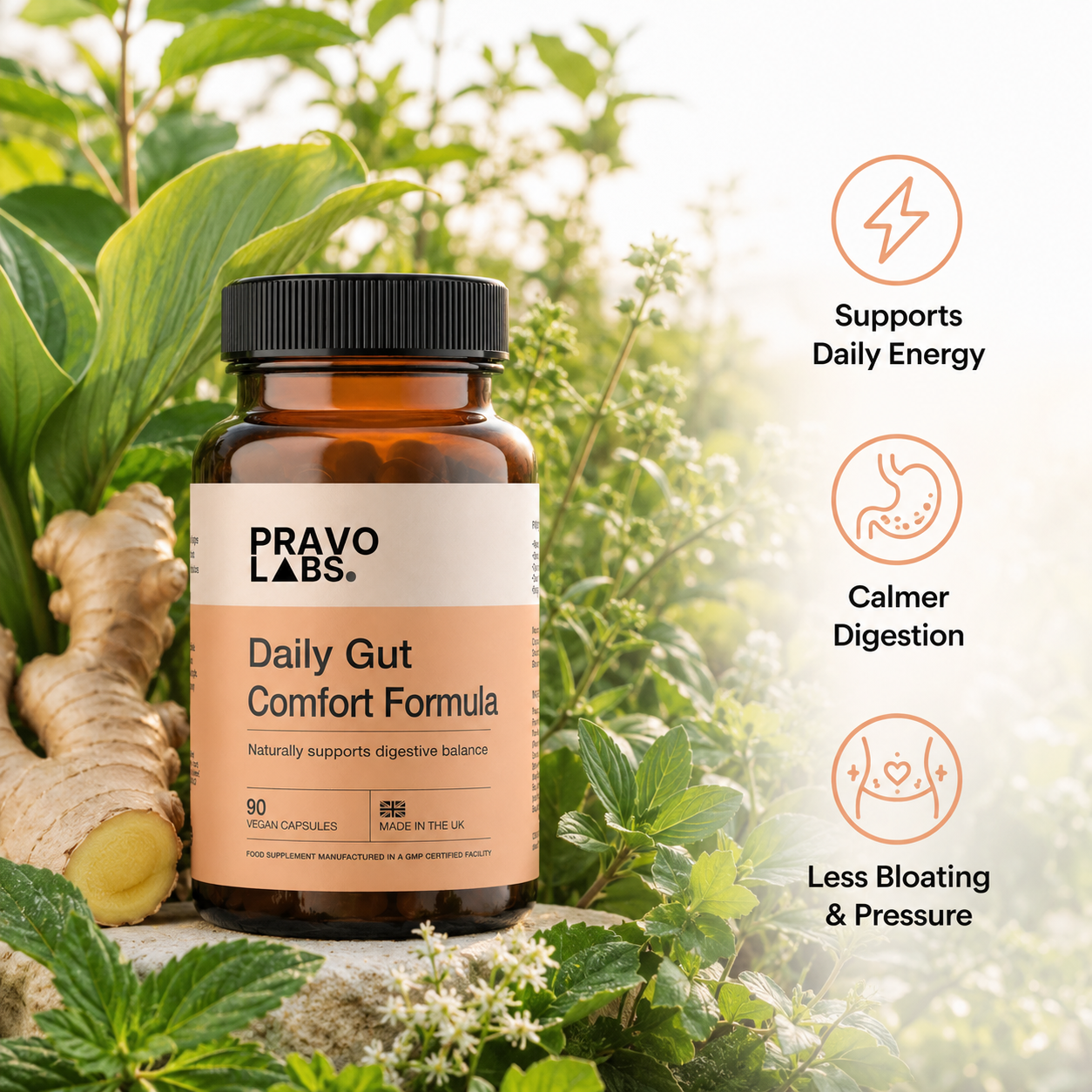 PRAVOLABS® - DAILY GUT COMFORT FORMULA